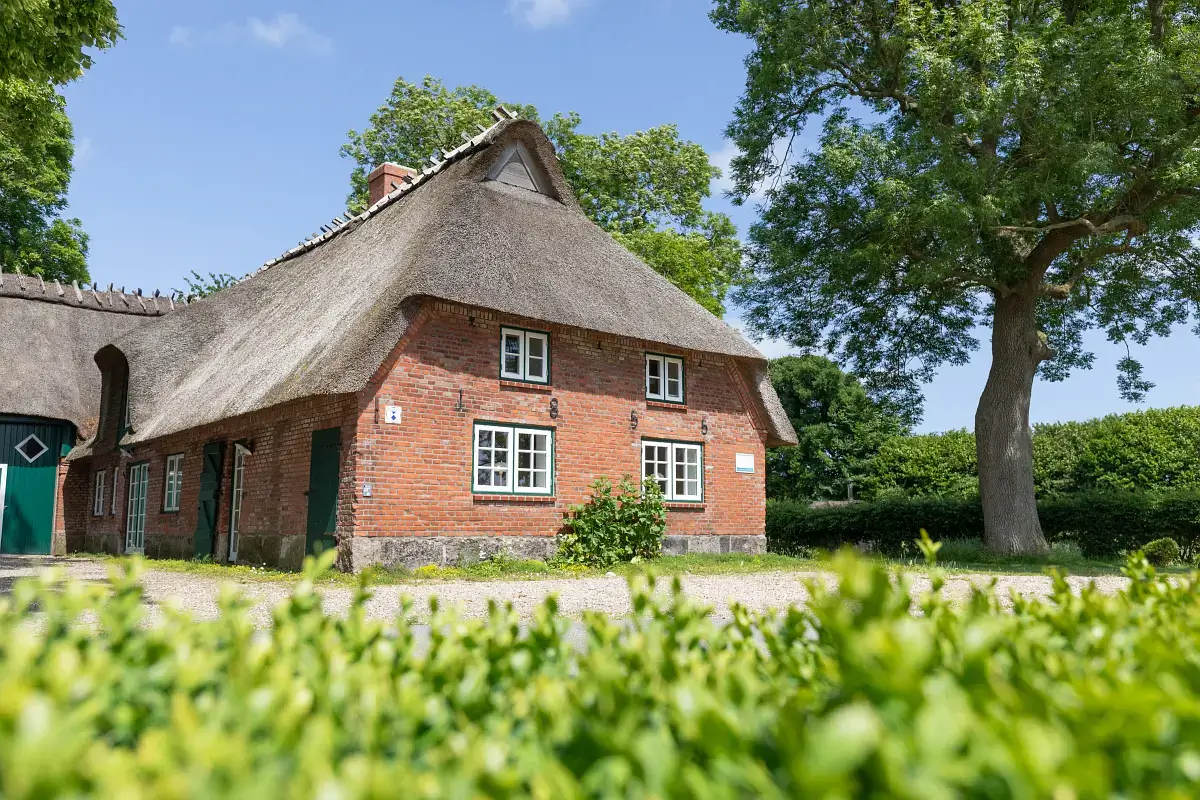 Ferienwohnung mit Sauna in Mittelangeln